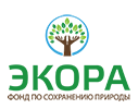 7экора100