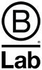 newBLabLogo-01100